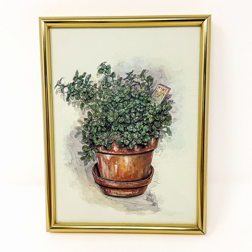 Vintage Julia Crainer Mint Herb Botanical Art Print Gold Frame Kitchen Decor